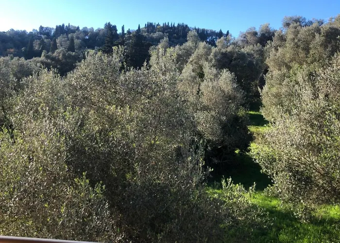 Vaios * Vátos