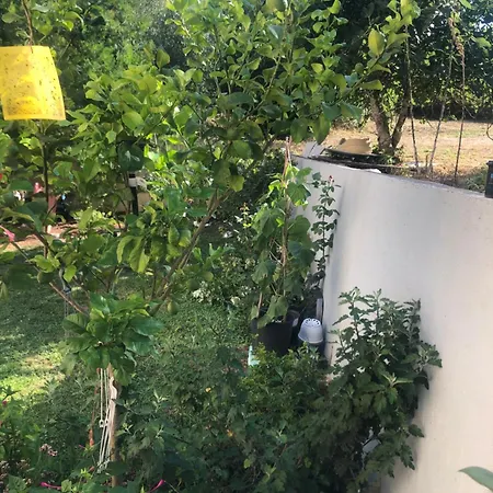 Apartment Vaios
