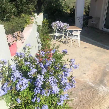 Vaios Βάτος